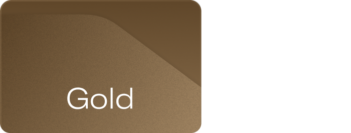 image of a gold velocity card