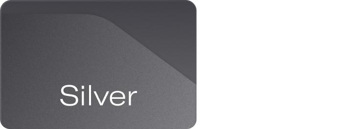 image of a silver velocity card