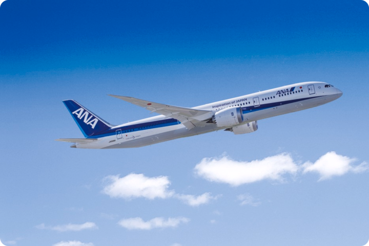 Image of ANA aircraft