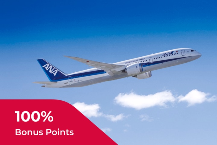 Image of ANA aircraft