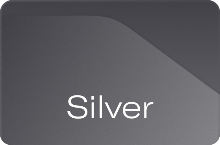 Silver Status