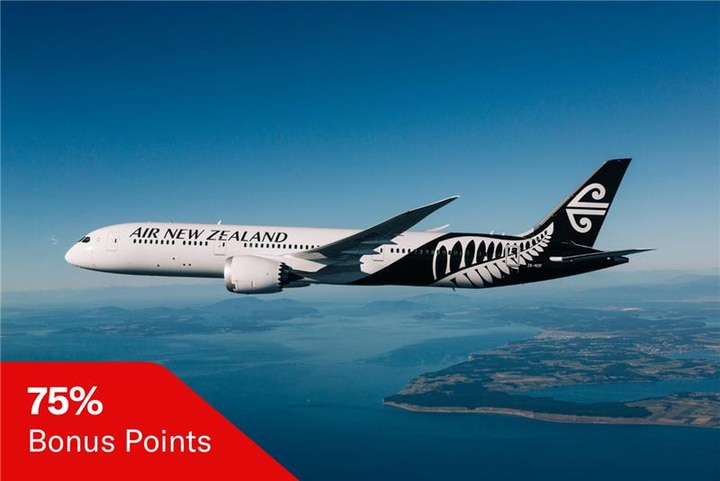 image of Air New Zealand aircraft