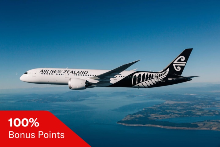 image of Air New Zealand aircraft