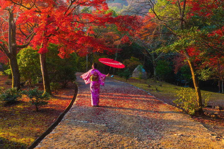 Image of a woman in a kimono walking through falling Autumn leaves. 