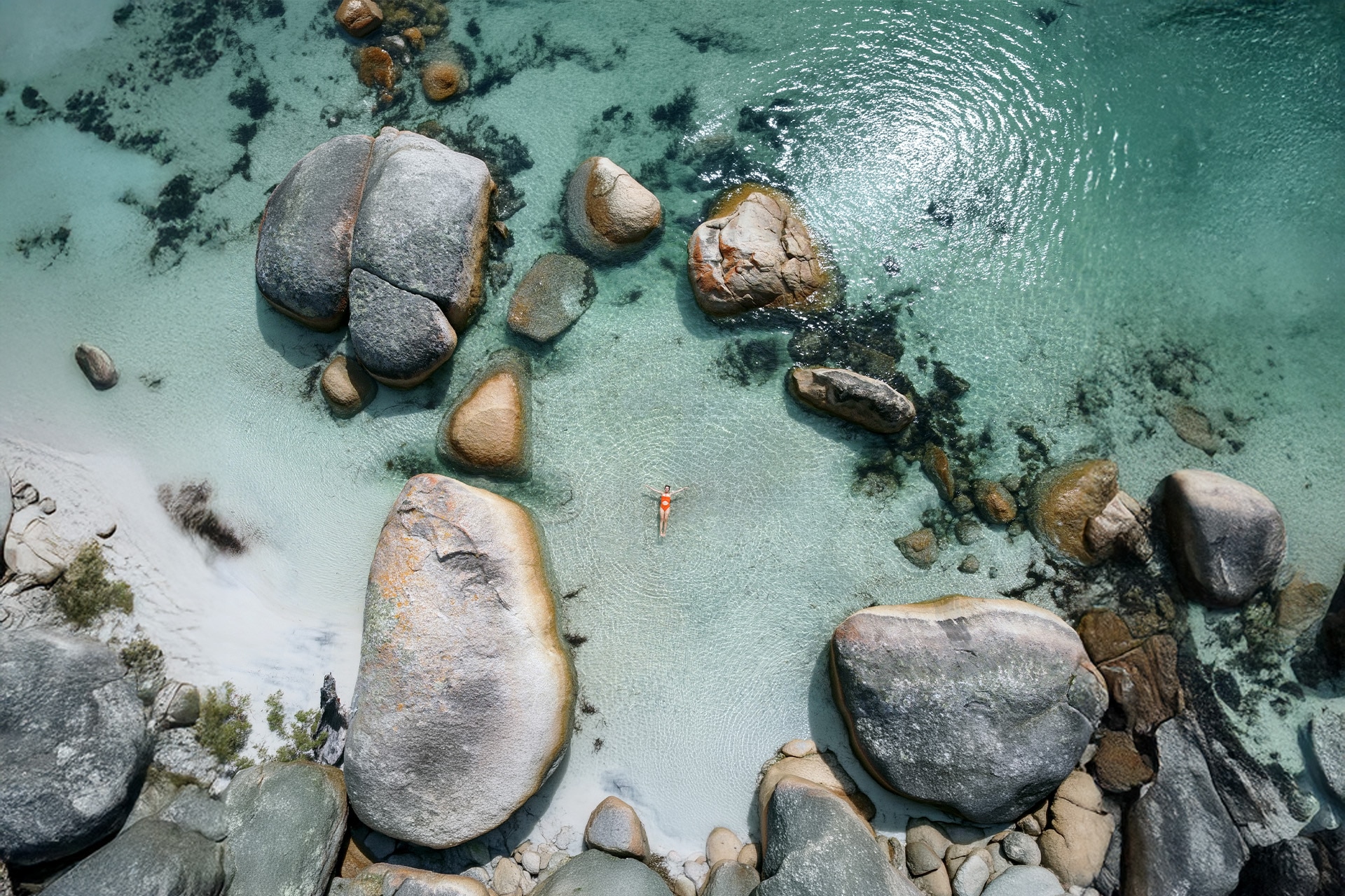 Velocity Frequent Flyer