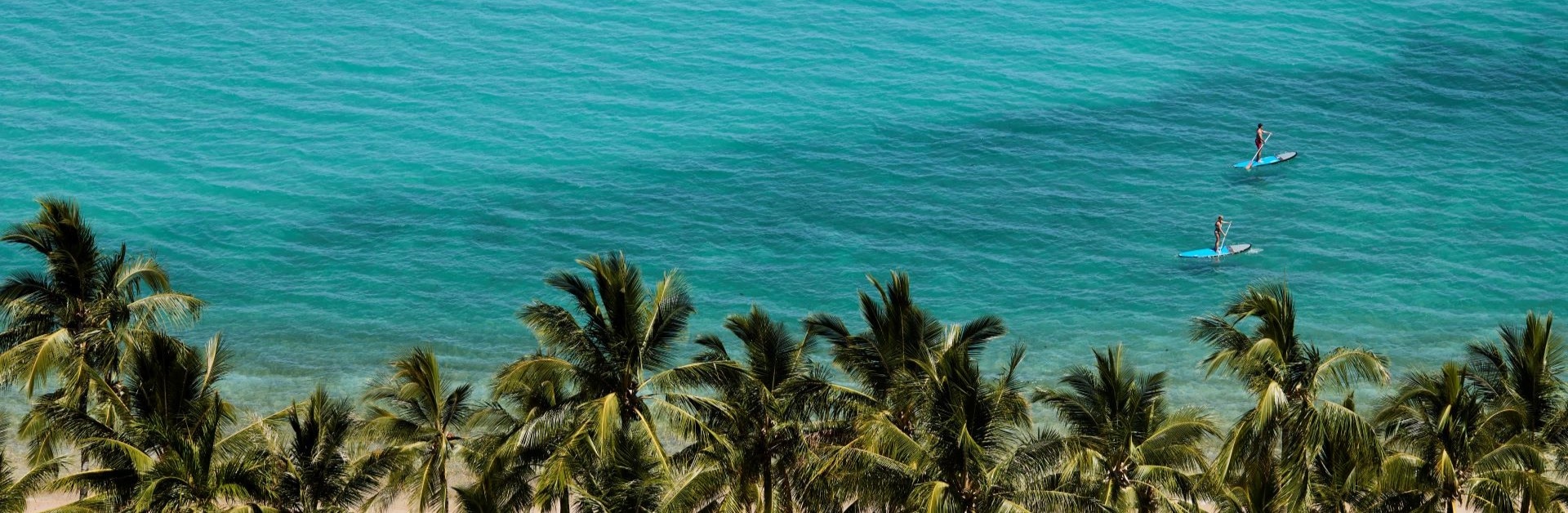 Velocity Frequent Flyer