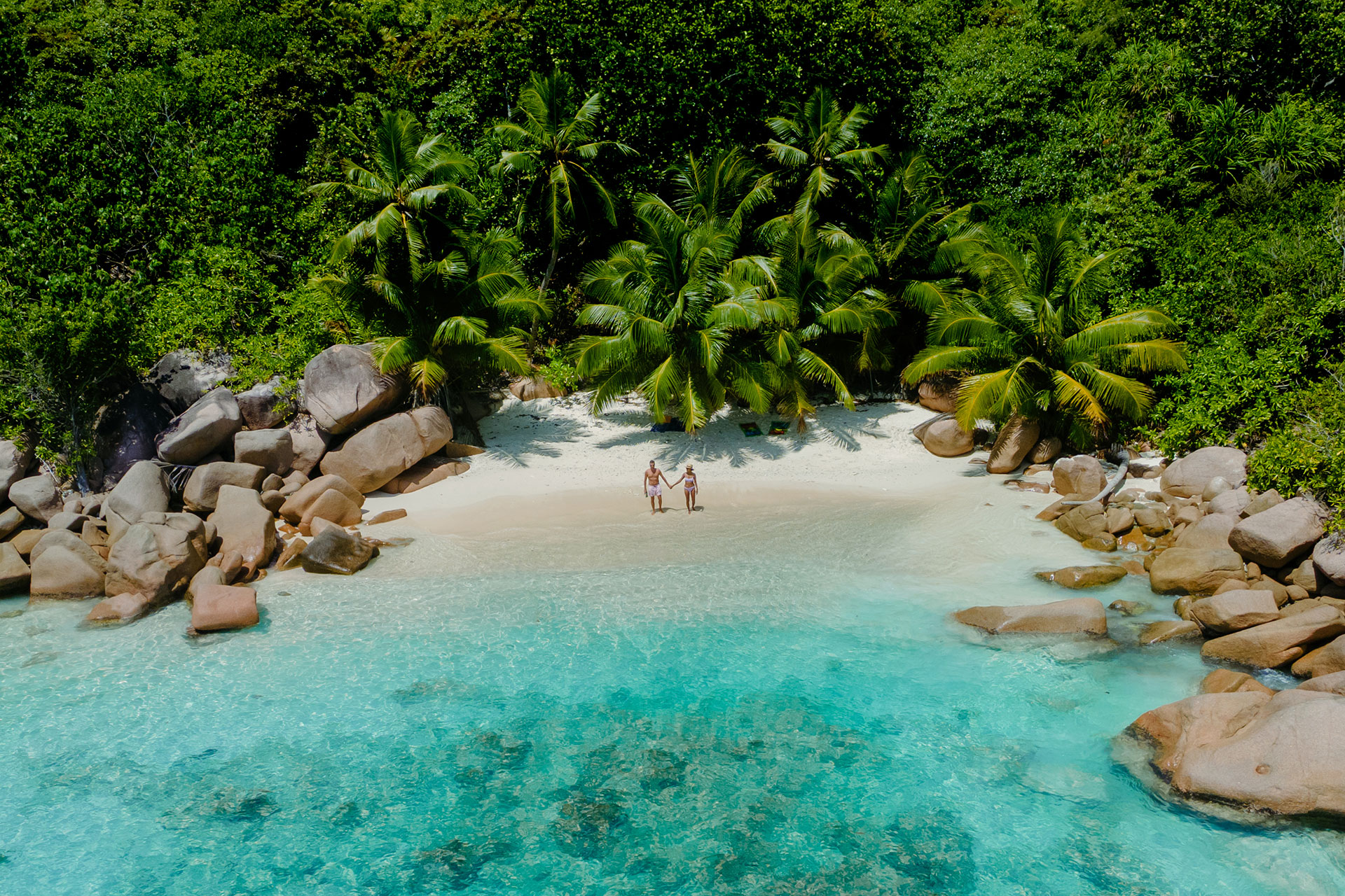 image of couple holding hands on tropical beach