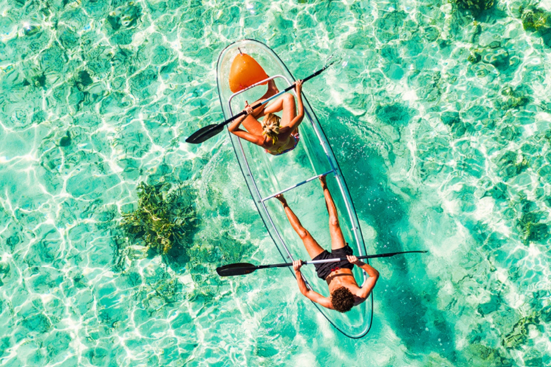 Velocity Frequent Flyer