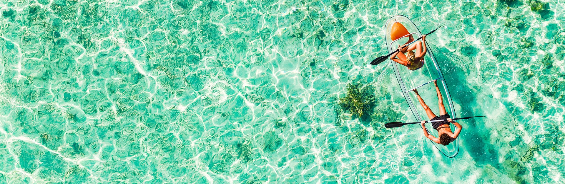 Velocity Frequent Flyer