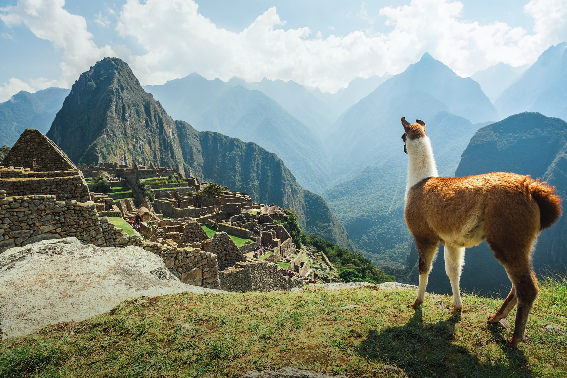 Velocity Frequent Flyer