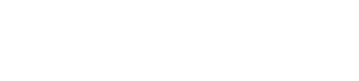 Velocity Store logo
